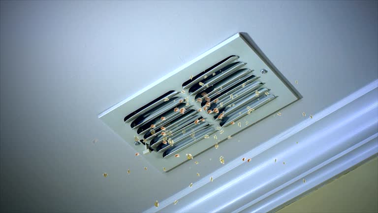 Best Air Vent Cleaning Services  in Vander, NC