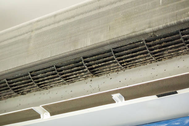 Best Dryer Vent Cleaning Services  in Vander, NC